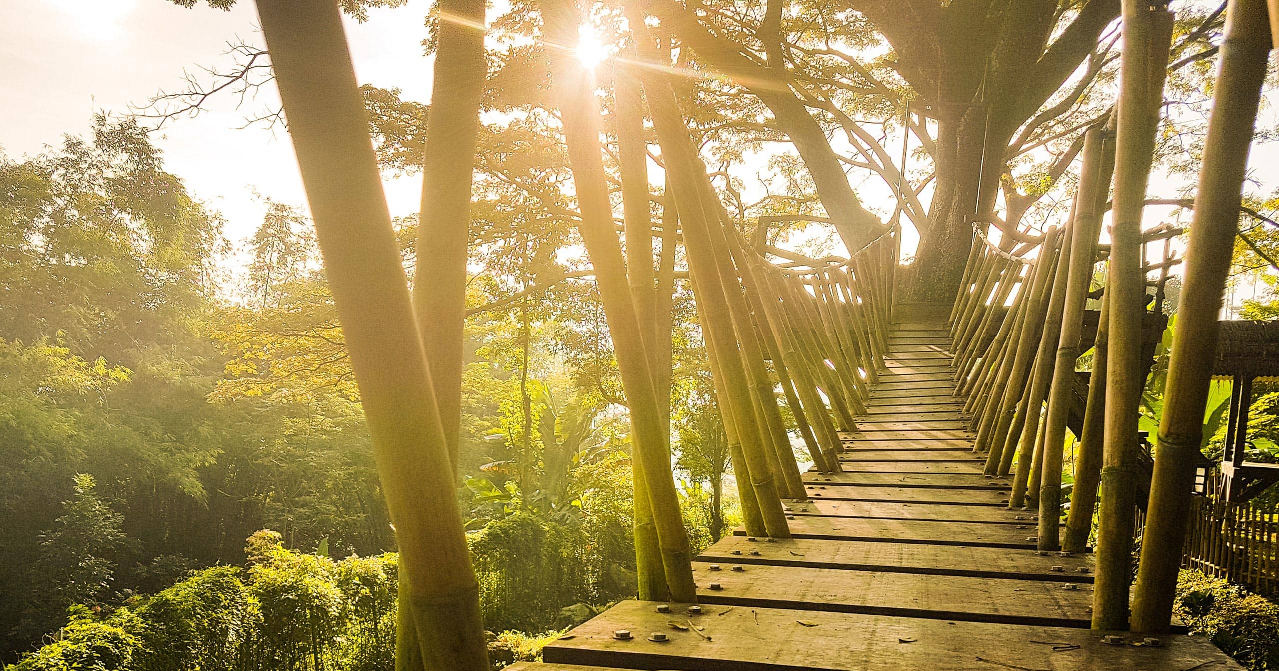 A Natureza fala com você