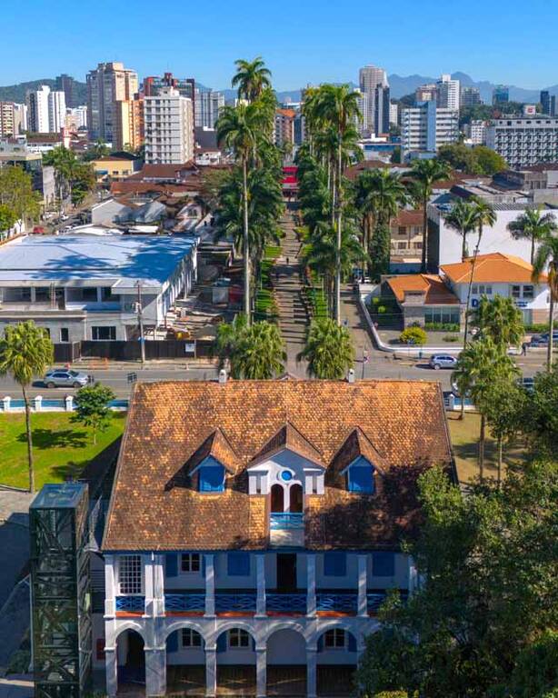 Rua das Palmeiras