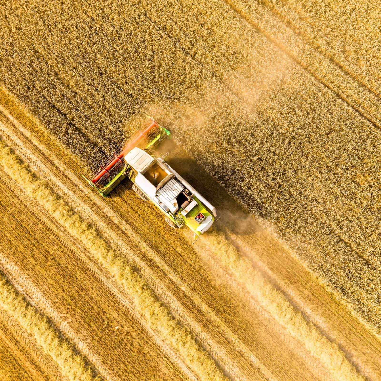 Gesso Reciclado Multiuso para Agricultura