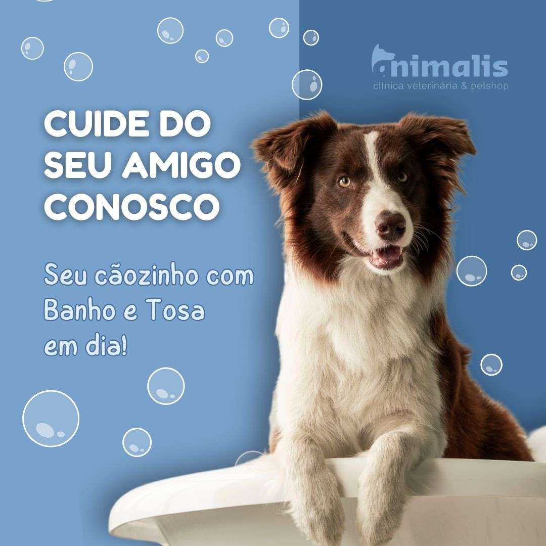 Animalis - Pet Shop e Veterinário Animalis - Pet Shop e Veterinário