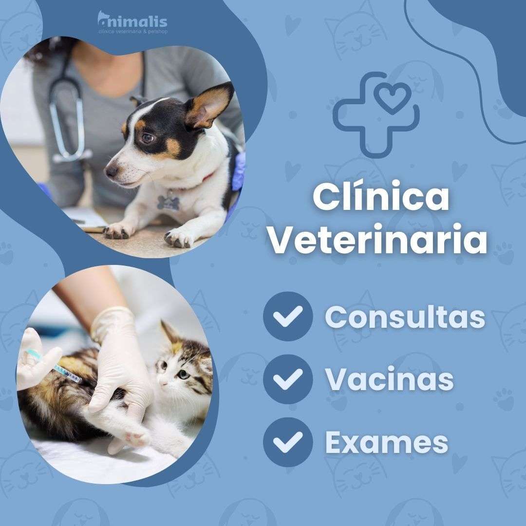 Animalis - Pet Shop e Veterinário Animalis - Pet Shop e Veterinário