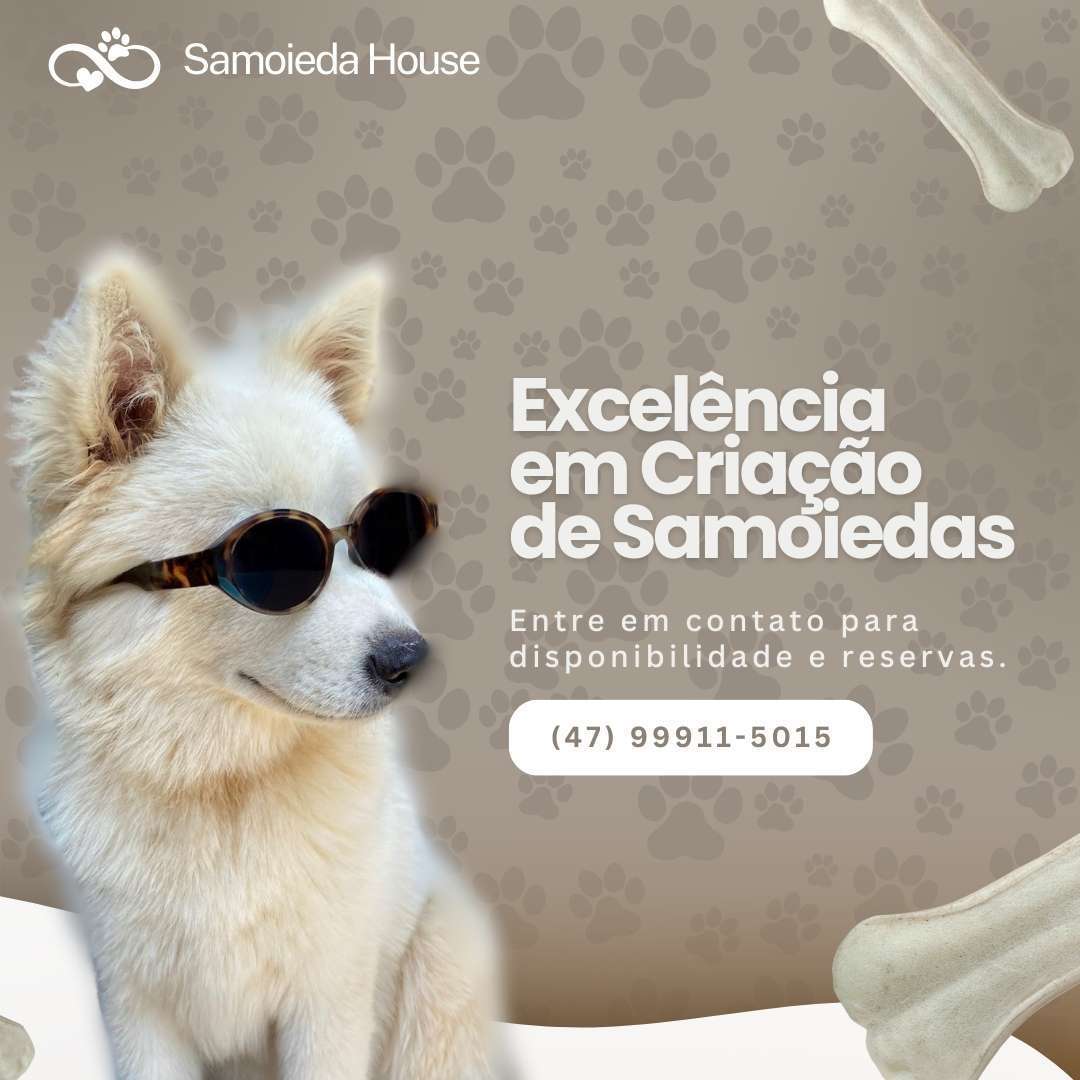 Canil Samoieda House Canil Samoieda House